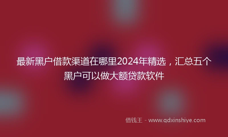 最新黑户借款渠道在哪里2024年精选，汇总五个黑户可以做大额贷款软件