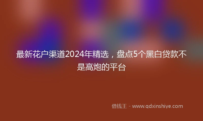 最新花户渠道2024年精选，盘点5个黑白贷款不是高炮的平台