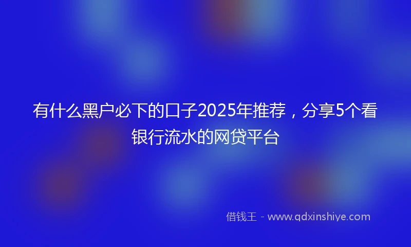 有什么黑户必下的口子2025年推荐，分享5个看银行流水的网贷平台
