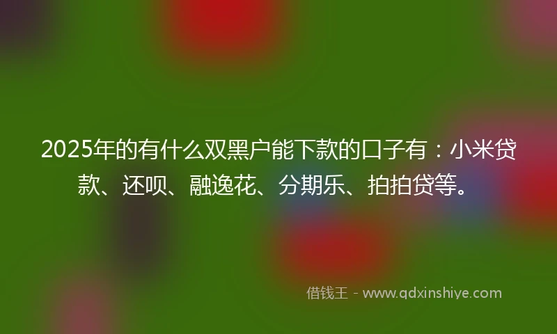 2025年的有什么双黑户能下款的口子有：小米贷款、还呗、融逸花、分期乐、拍拍贷等。