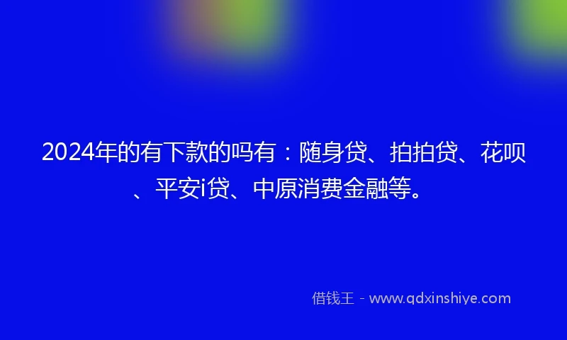 2024年的有下款的吗有：随身贷、拍拍贷、花呗、平安i贷、中原消费金融等。