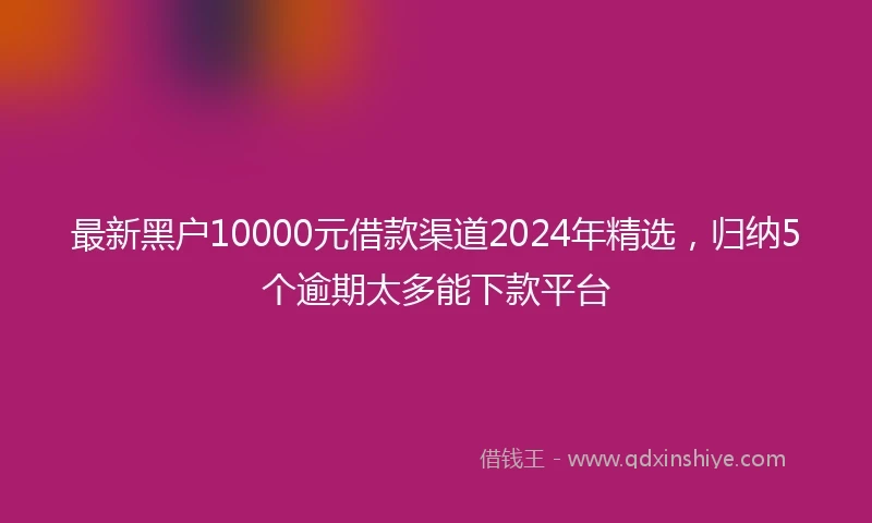 最新黑户10000元借款渠道2024年精选，归纳5个逾期太多能下款平台
