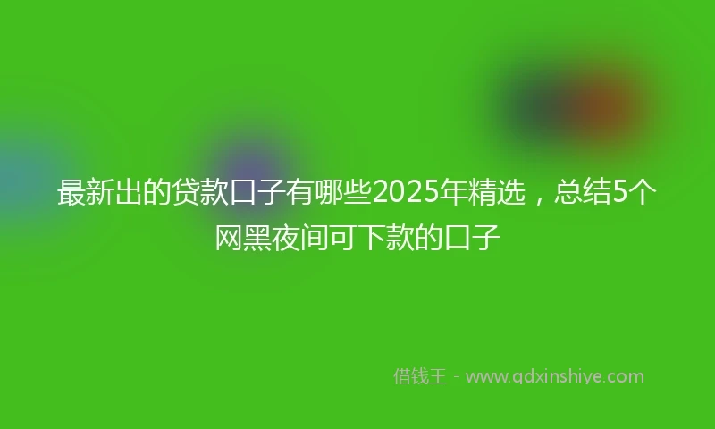 最新出的贷款口子有哪些2025年精选，总结5个网黑夜间可下款的口子