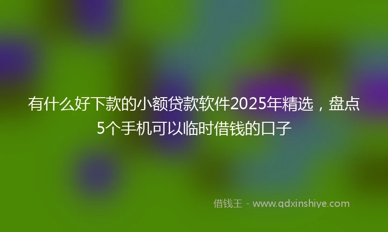 有什么好下款的小额贷款软件2025年精选，盘点5个手机可以临时借钱的口子