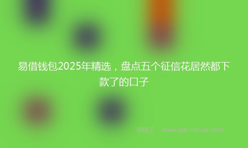 易借钱包2025年精选，盘点五个征信花居然都下款了的口子