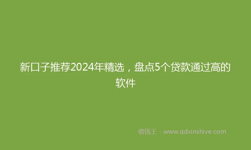 新口子推荐2024年精选，盘点5个贷款通过高的软件