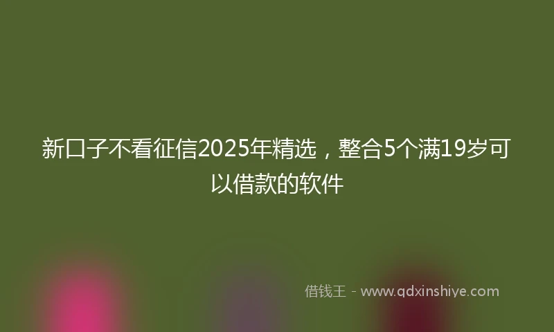 新口子不看征信2025年精选，整合5个满19岁可以借款的软件