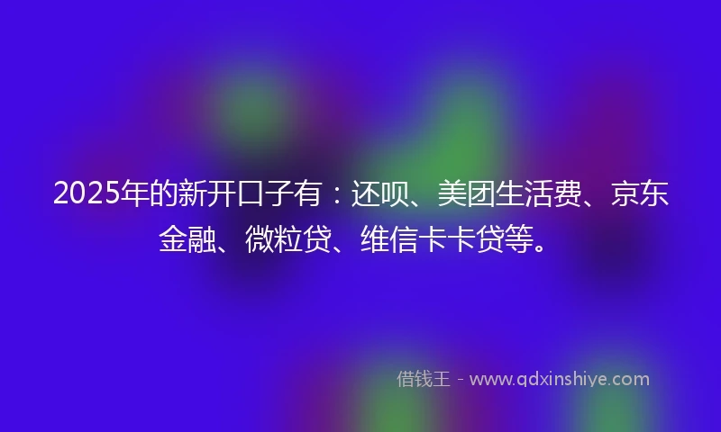 2025年的新开口子有：还呗、美团生活费、京东金融、微粒贷、维信卡卡贷等。