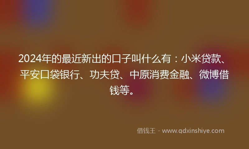 2024年的最近新出的口子叫什么有：小米贷款、平安口袋银行、功夫贷、中原消费金融、微博借钱等。