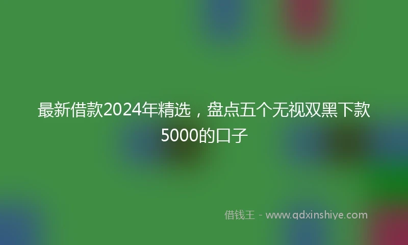 最新借款2024年精选，盘点五个无视双黑下款5000的口子