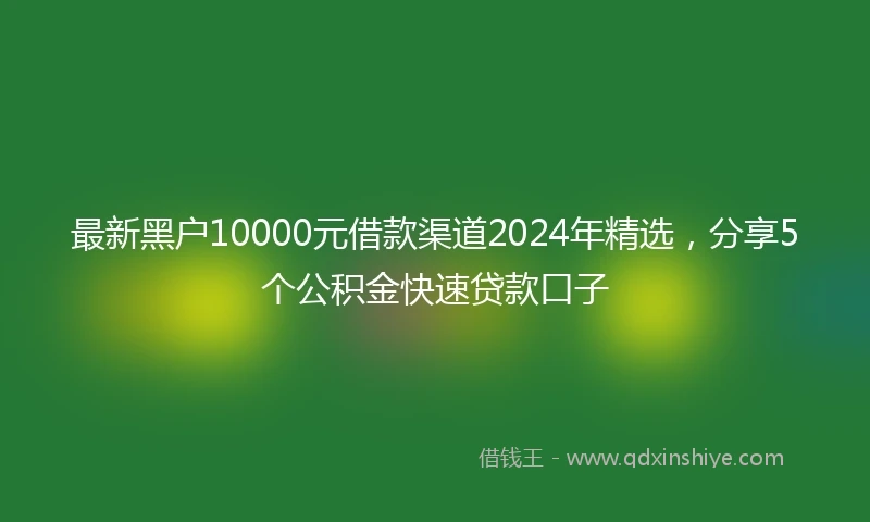 最新黑户10000元借款渠道2024年精选，分享5个公积金快速贷款口子