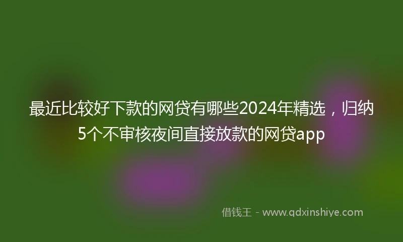 最近比较好下款的网贷有哪些2024年精选，归纳5个不审核夜间直接放款的网贷app