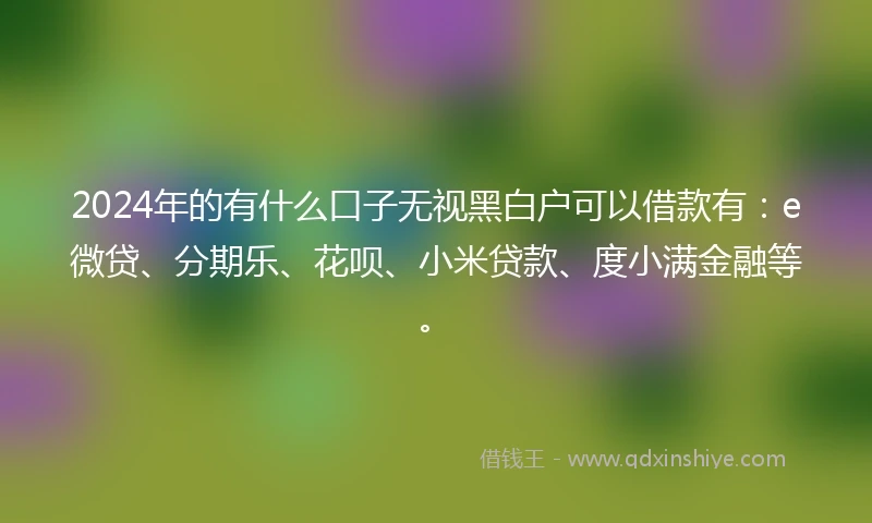 2024年的有什么口子无视黑白户可以借款有：e微贷、分期乐、花呗、小米贷款、度小满金融等。