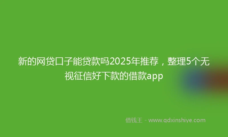 新的网贷口子能贷款吗2025年推荐，整理5个无视征信好下款的借款app