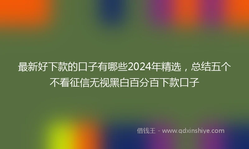 最新好下款的口子有哪些2024年精选，总结五个不看征信无视黑白百分百下款口子