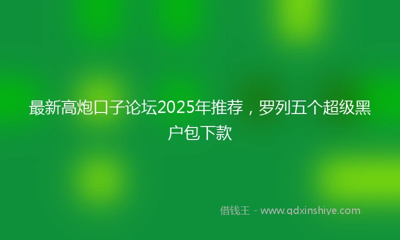 最新高炮口子论坛2025年推荐，罗列五个超级黑户包下款