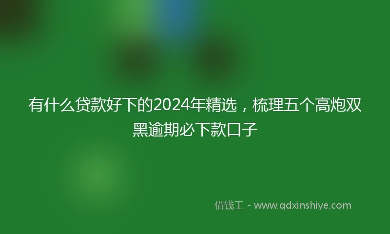 有什么贷款好下的2024年精选,梳理五个高炮双黑逾期必下款口子