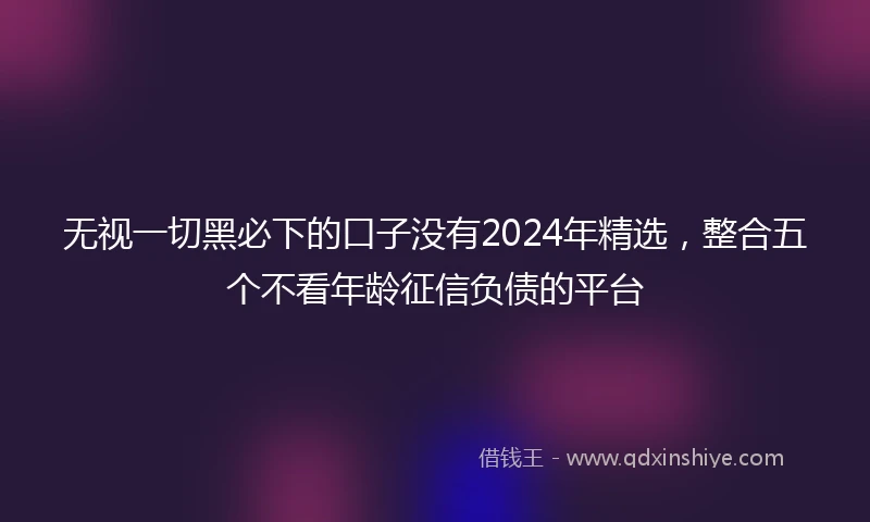无视一切黑必下的口子没有2024年精选，整合五个不看年龄征信负债的平台