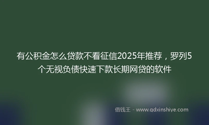 有公积金怎么贷款不看征信2025年推荐，罗列5个无视负债快速下款长期网贷的软件