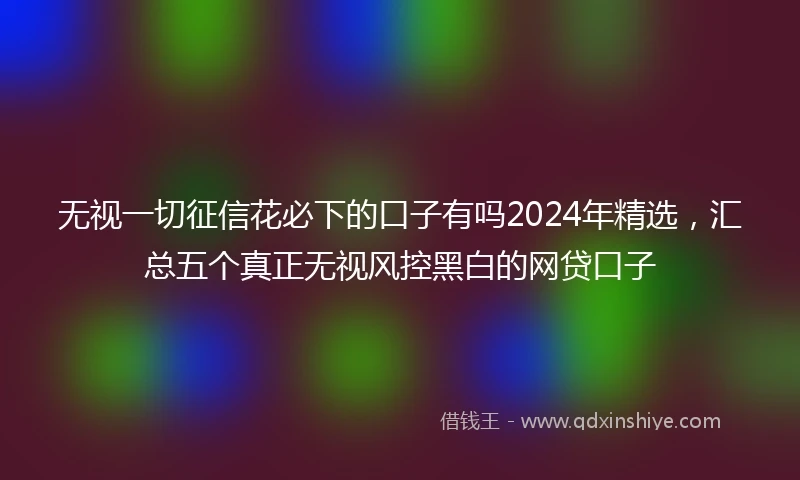 无视一切征信花必下的口子有吗2024年精选，汇总五个真正无视风控黑白的网贷口子