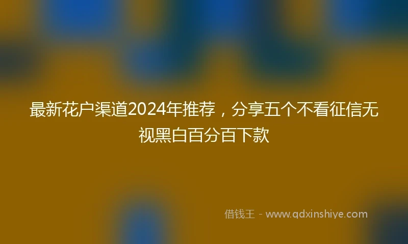 最新花户渠道2024年推荐，分享五个不看征信无视黑白百分百下款