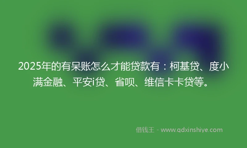 2025年的有呆账怎么才能贷款有：柯基贷、度小满金融、平安i贷、省呗、维信卡卡贷等。