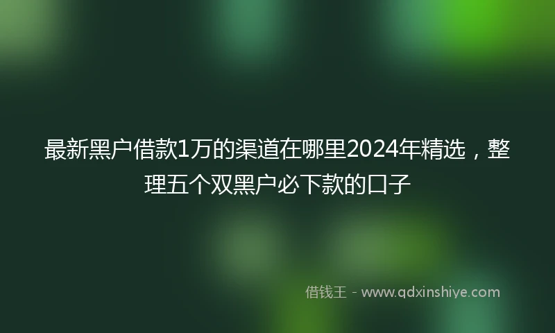 最新黑户借款1万的渠道在哪里2024年精选，整理五个双黑户必下款的口子