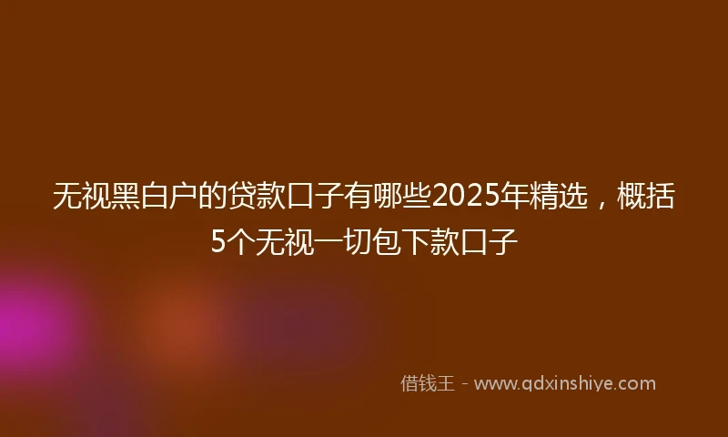 无视黑白户的贷款口子有哪些2025年精选，概括5个无视一切包下款口子