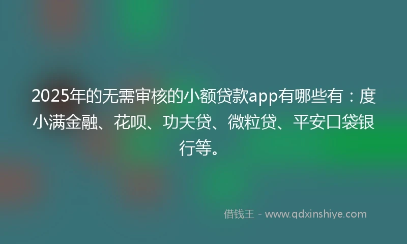 2025年的无需审核的小额贷款app有哪些有：度小满金融、花呗、功夫贷、微粒贷、平安口袋银行等。