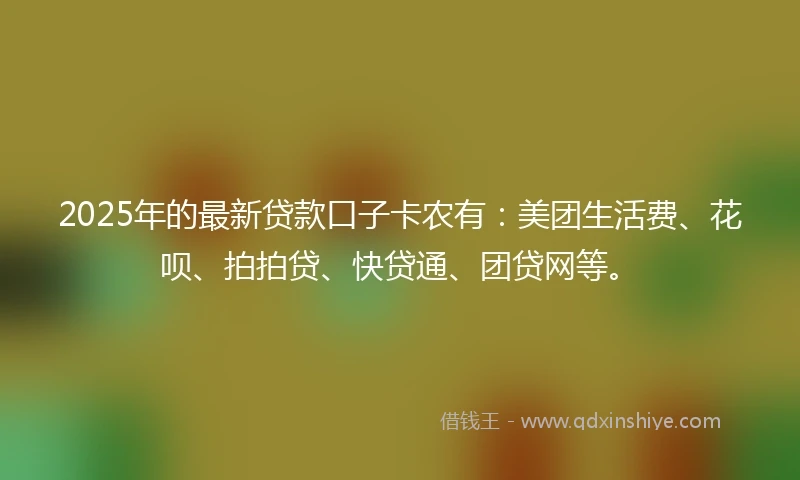 2025年的最新贷款口子卡农有：美团生活费、花呗、拍拍贷、快贷通、团贷网等。