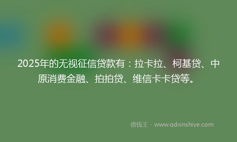 2025年的无视征信贷款有：拉卡拉、柯基贷、中原消费金融、拍拍贷、维信卡卡贷等。