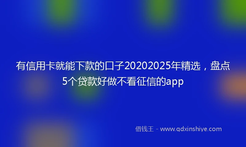 有信用卡就能下款的口子20202025年精选，盘点5个贷款好做不看征信的app