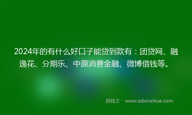2024年的有什么好口子能贷到款有：团贷网、融逸花、分期乐、中原消费金融、微博借钱等。