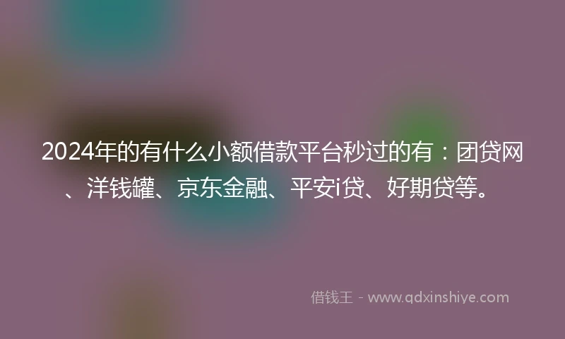 2024年的有什么小额借款平台秒过的有：团贷网、洋钱罐、京东金融、平安i贷、好期贷等。