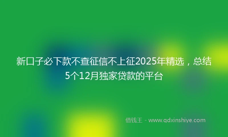 新口子必下款不查征信不上征2025年精选，总结5个12月独家贷款的平台