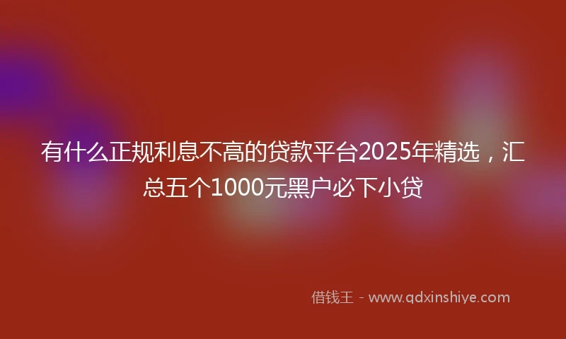 有什么正规利息不高的贷款平台2025年精选，汇总五个1000元黑户必下小贷