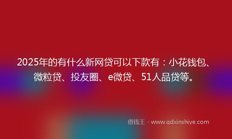 2025年的有什么新网贷可以下款有：小花钱包、微粒贷、投友圈、e微贷、51人品贷等。