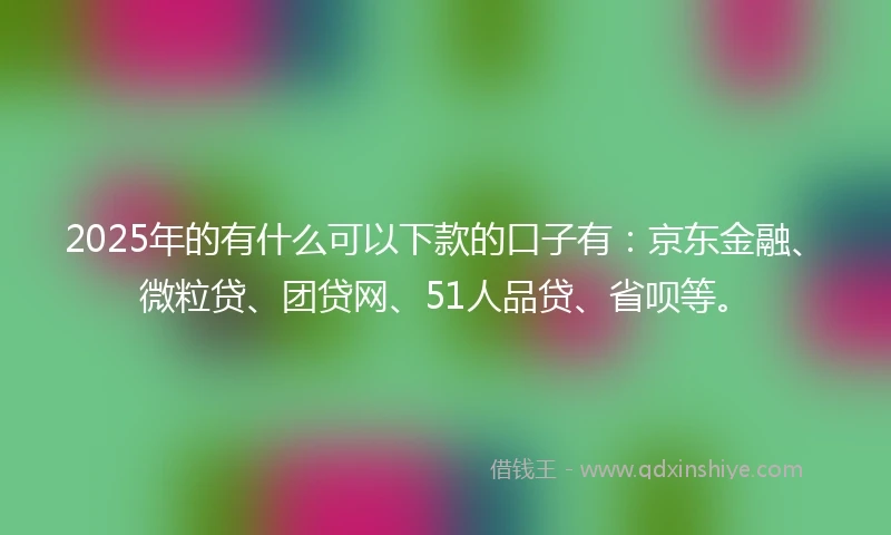 2025年的有什么可以下款的口子有：京东金融、微粒贷、团贷网、51人品贷、省呗等。