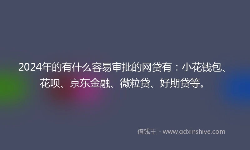 2024年的有什么容易审批的网贷有：小花钱包、花呗、京东金融、微粒贷、好期贷等。