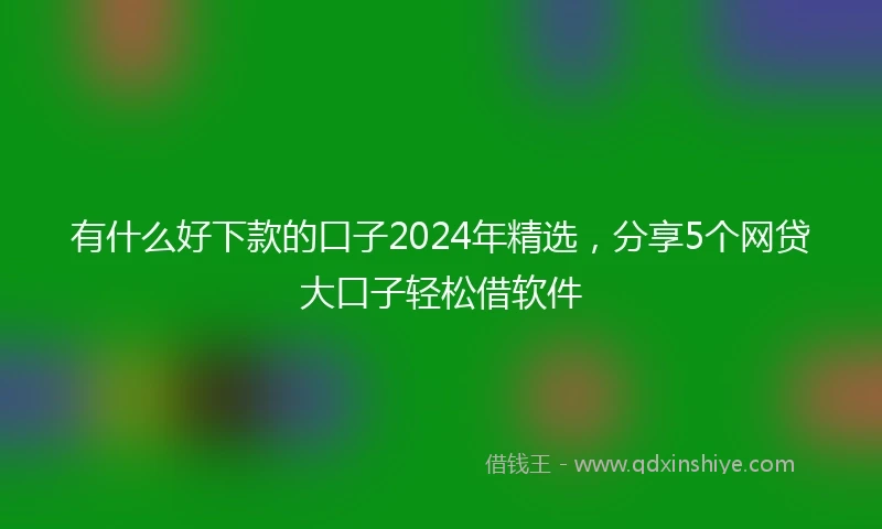 有什么好下款的口子2024年精选，分享5个网贷大口子轻松借软件