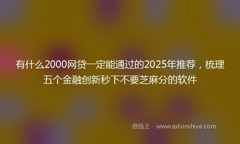 有什么2000网贷一定能通过的2025年推荐,梳理五个金融创新秒下不要芝麻分的软件