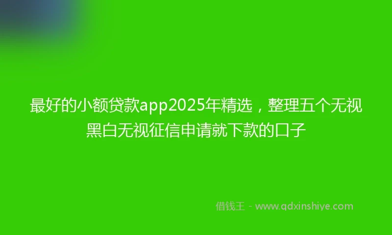 最好的小额贷款app2025年精选，整理五个无视黑白无视征信申请就下款的口子