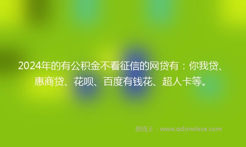 2024年的有公积金不看征信的网贷有：你我贷、惠商贷、花呗、百度有钱花、超人卡等。