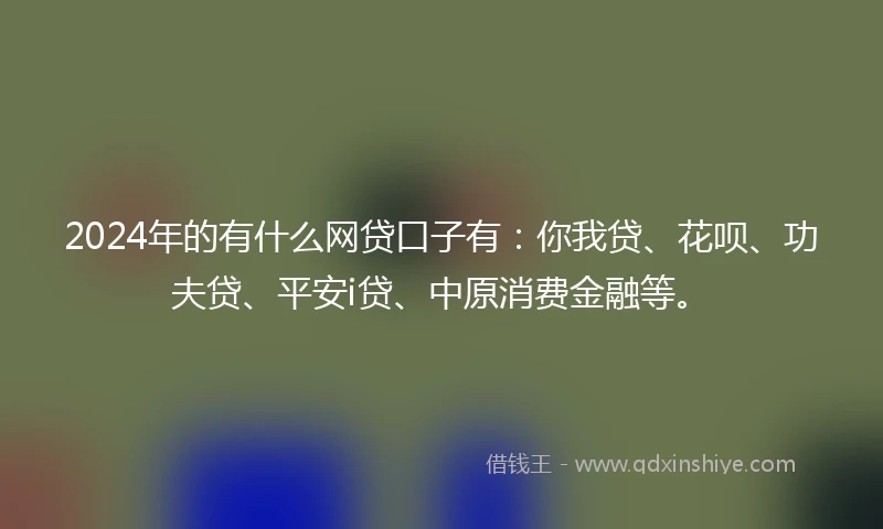 2024年的有什么网贷口子有：你我贷、花呗、功夫贷、平安i贷、中原消费金融等。