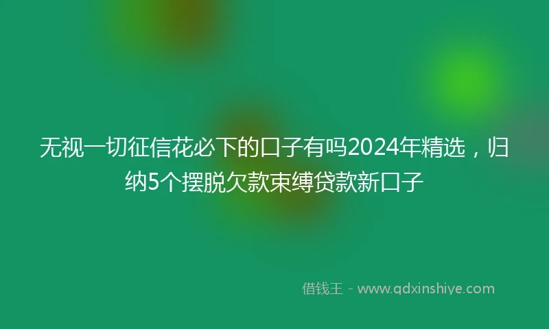 无视一切征信花必下的口子有吗2024年精选，归纳5个摆脱欠款束缚贷款新口子
