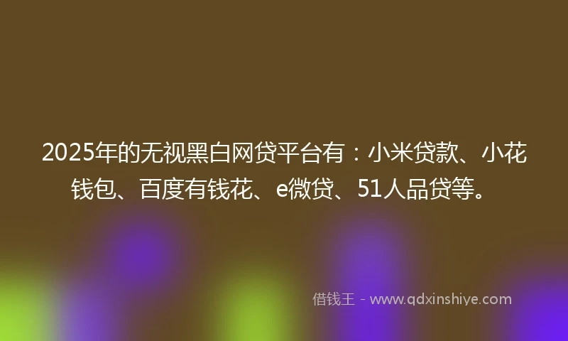 2025年的无视黑白网贷平台有：小米贷款、小花钱包、百度有钱花、e微贷、51人品贷等。