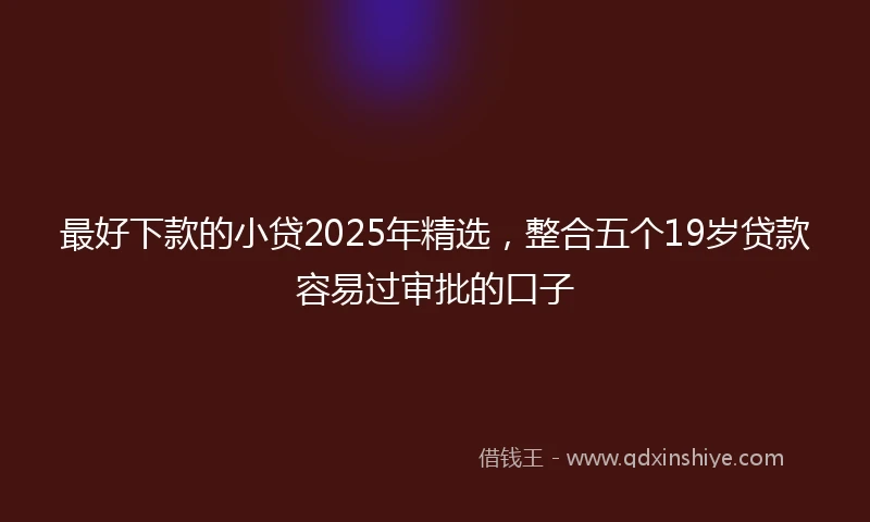 最好下款的小贷2025年精选，整合五个19岁贷款容易过审批的口子