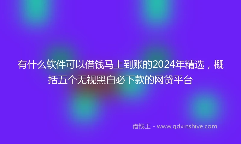 有什么软件可以借钱马上到账的2024年精选，概括五个无视黑白必下款的网贷平台