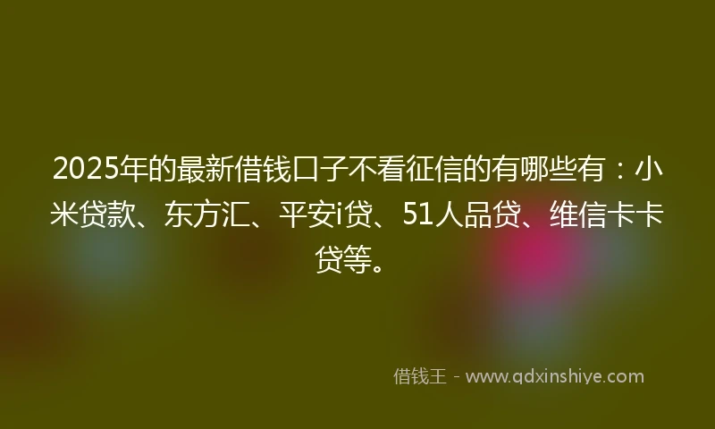 2025年的最新借钱口子不看征信的有哪些有：小米贷款、东方汇、平安i贷、51人品贷、维信卡卡贷等。