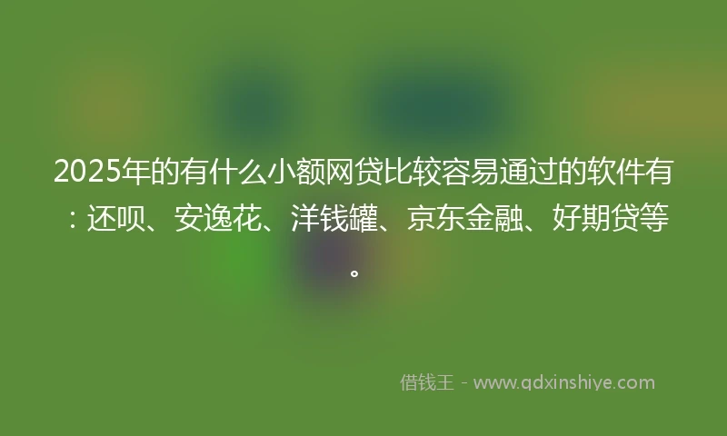 2025年的有什么小额网贷比较容易通过的软件有：还呗、安逸花、洋钱罐、京东金融、好期贷等。